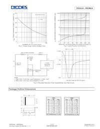 RS2DA-13-F Datenblatt Seite 3