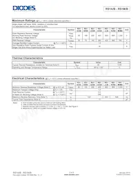 RS1B-13 Datasheet Page 2