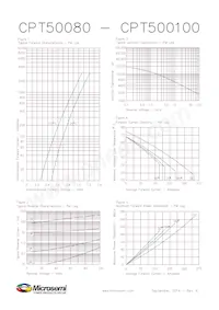 CPT500100D Datasheet Pagina 2