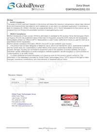 GSXF060A020S1-D3 Datasheet Pagina 3