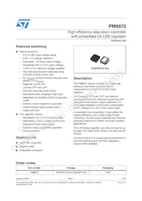 PM6675TR Datasheet Cover