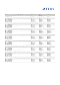 B41570E8339Q000 Datasheet Page 2