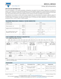 MRS25000C6204FC100 Datasheet Page 2