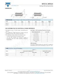 MRS25000C6204FC100 Datasheet Page 3