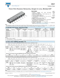 MSP10C05221BGEJ數據表 封面