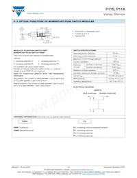 P11S2V0FLSY00103KA Datenblatt Seite 11