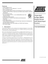 T6818-TUQY-66 Datasheet Cover