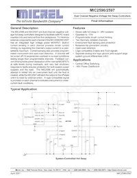 MIC2597-2BTS TR Datasheet Copertura