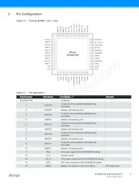 ATA6870N-PLQW-1 Datasheet Page 3