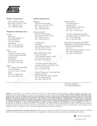 AT93C46Y1-10YU-1.8-T Datasheet Pagina 21