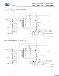 CY7C12501KV18-450BZXC Datenblatt Seite 2