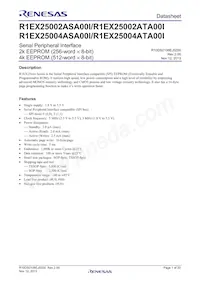 R1EX25004ATA00I#S0 Datasheet Copertura