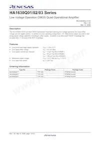 HA1630Q03TELL-E Datasheet Pagina 3