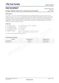 HA1630S07CMEL-E Datasheet Copertura