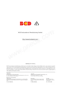 AZ4558CP-E1 Datasheet Pagina 10