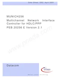 PEF 20256 E V3.2-G Datasheet Pagina 3