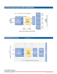 TLIXF30011-865853 Datasheet Pagina 3