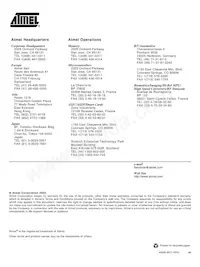 ATA6660-TAQY 19數據表 頁面 11