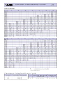 63LSQ350000MCPC90X218 Datasheet Pagina 2