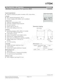 B32354S3406K010 Datasheet Pagina 2