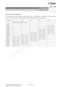 B41458B8150M003 Datasheet Page 7