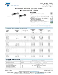 FVWL20A1E2K000JE Datasheet Copertura