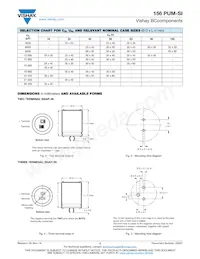 MAL215659822E3 Datasheet Pagina 2