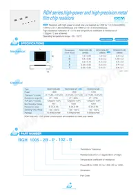 RGH1005-2B-P-332-B Datasheet Cover