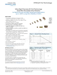 Y0799100K000Q0W Datasheet Copertura