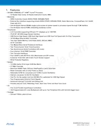 AT91SAM9G45B-CU-999 Datasheet Pagina 2