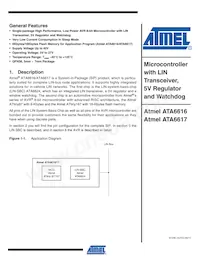 ATA6617-P3QW Datenblatt Cover