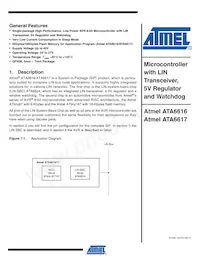 ATA6617-P3QW Datasheet Copertura