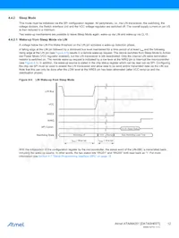 ATA664251-WGQW-1 Datenblatt Seite 12