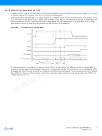 ATA664251-WGQW-1 Datasheet Pagina 13