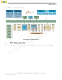 BSC9132NXN7MNMB Datasheet Pagina 3