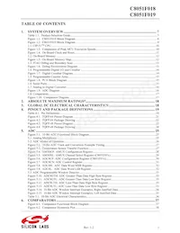 C8051F019 Datasheet Pagina 2