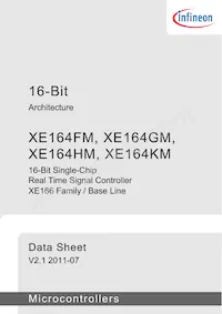 SAK-XE164KM-72F80L AA Datenblatt Seite 3