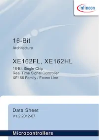 XE162HL20F80LAAFXQSA1數據表 封面