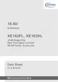 XE162HL20F80LAAFXQSA1 Datasheet Page 3