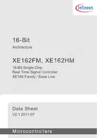 XE162HM72F80LAAFXUMA1 Datenblatt Seite 3