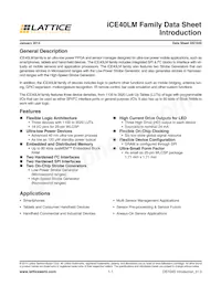 ICE40LM4K-CM49TR1K Datasheet Pagina 2