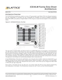 ICE40LM4K-CM49TR1K Datenblatt Seite 4