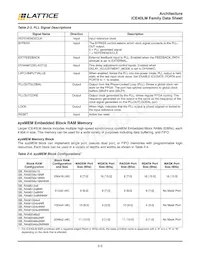 ICE40LM4K-CM49TR1K Datenblatt Seite 8