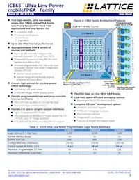 ICE65L08F-TCS110I Datasheet Copertura