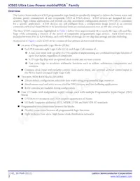 ICE65L08F-TCS110I Datasheet Page 2