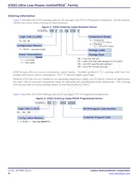 ICE65L08F-TCS110I Datenblatt Seite 4