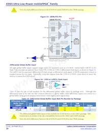 ICE65L08F-TCS110I數據表 頁面 20