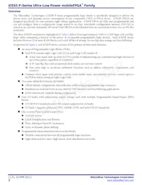 ICE65P04F-TCB284I Datasheet Pagina 2