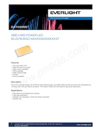 62-227B/LK2C-N5757P3P4S2Z6/2T Datenblatt Cover