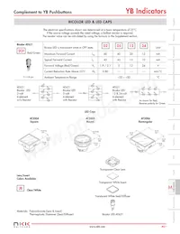 YB03WKW01-6B-JB Datasheet Page 5